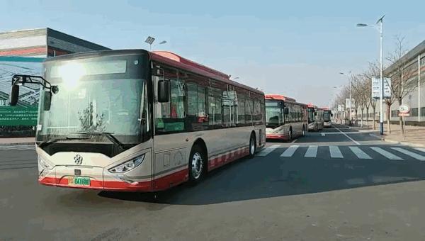 天津自然之旅,探寻宁静角落的都市绿洲