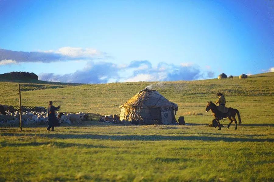 内蒙古独特风味探寻之旅，小巷中的美食秘境