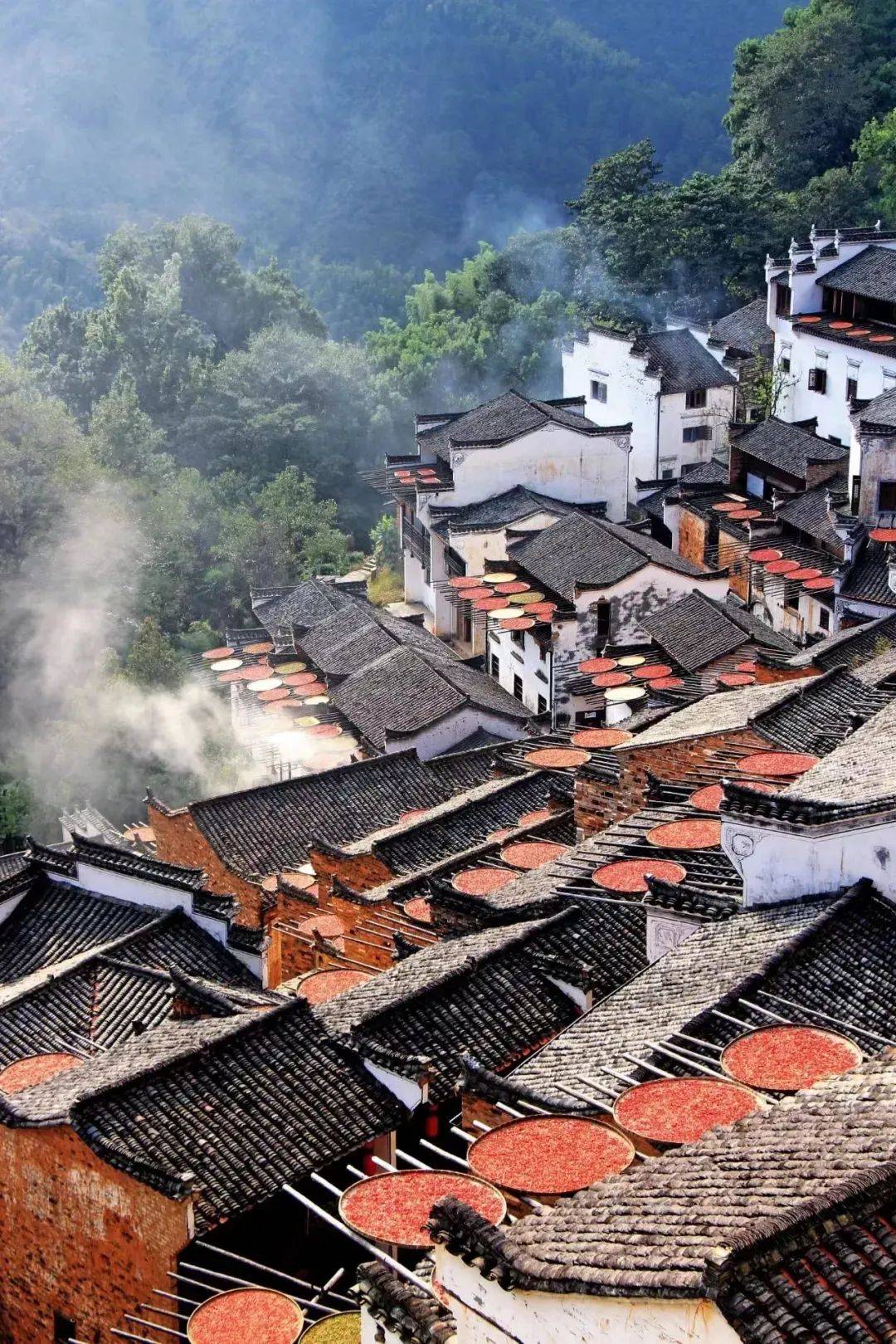 江西,红色摇篮,绿色家园的璀璨画卷