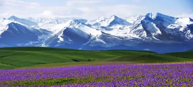 新疆,稳定繁荣的西北明珠