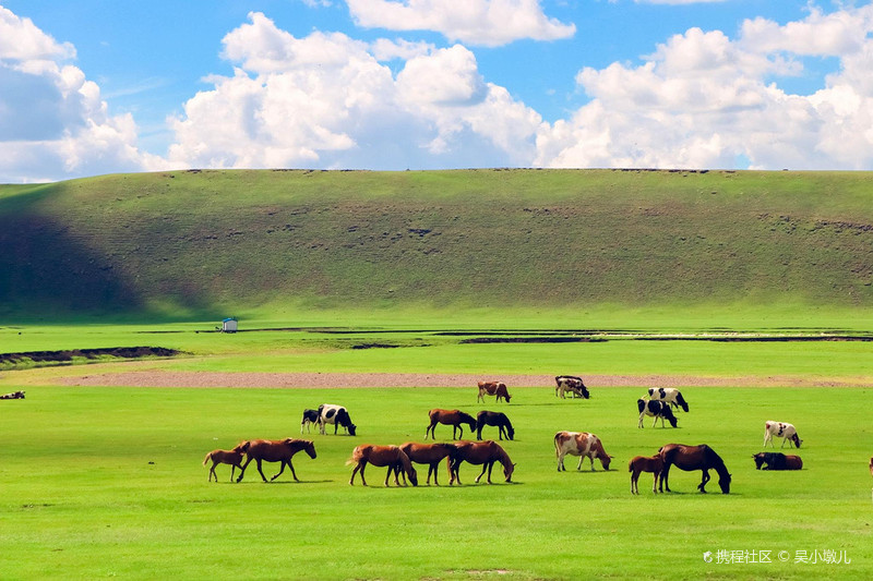 呼伦贝尔,草原明珠的壮美画卷