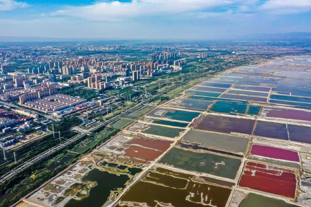 运城盛会,致敬领导与朋友们的尊贵聚会