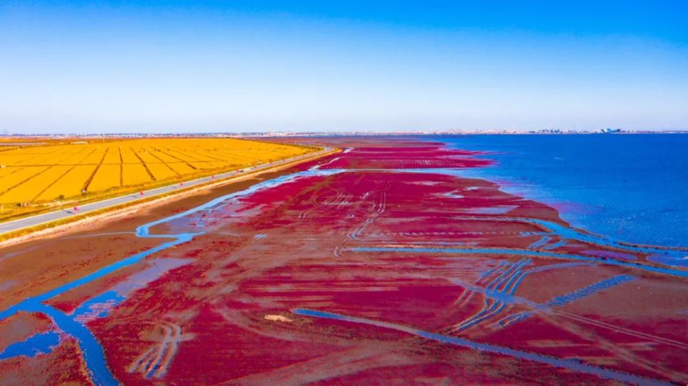 盘锦，美丽土地的独特魅力🌿